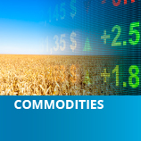 Commodities Can Be the Foundation of the Real Asset Sleeve of a Portfolio