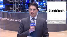  BlackRock Freezes Chinese Bond ETF Launch
