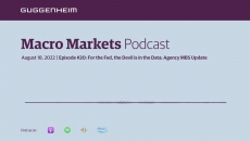 Macro Markets Podcast Episode 20: For the Fed, the Devil Is in the Data; Agency MBS Update