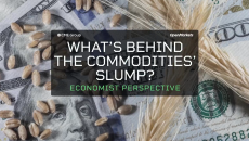 What's Behind the Commodities Slump?