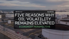 Five Reasons Why Oil Volatility Remains Elevated