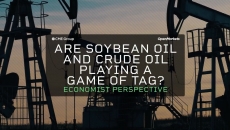 Are Soybean Oil and Crude Oil Playing a Game of “Tag”?